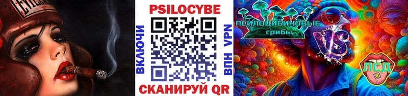 shop наркотические препараты  Куйбышев  Псилоцибиновые грибы мухоморы  купить закладку 