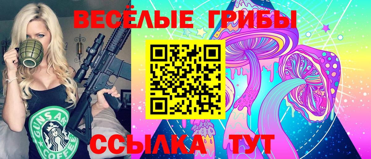 Псилоцибиновые грибы Cubensis  Псилоцибиновые грибы Psilocybine cubensis  Куйбышев  Вход с VPN 