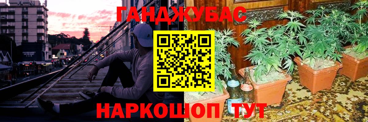 Бошки марихуана OG Kush  Вход с VPN  Куйбышев  Каннабис Bruce Banner  Бошки Шишки план 